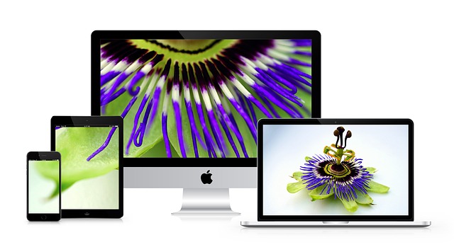 Vector image of device screens of different sizes.